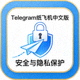 象征Telegram纸飞机中文版安全与隐私保护的锁、盾牌和加密数据流示意图